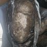 Description: Job lot of vintage horsehair and natural upholstery stuffing, split across 8.5 black bin bags. Image 2