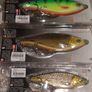 Savage Gear 3D Roach Jerkster 11.5cm & 14.5cm Image 4