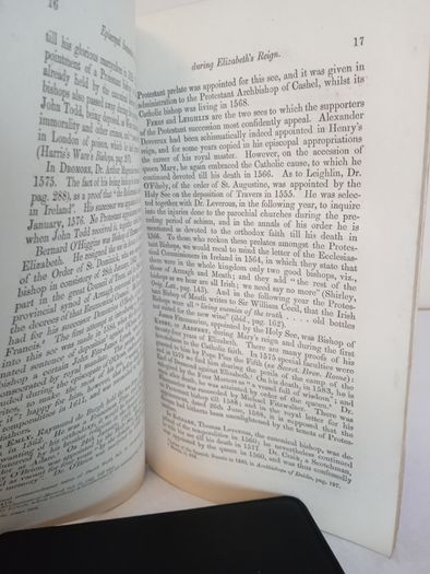 The Episcopal Succession in Ireland During the Reign of Elizabeth: Being Remarks on some Recent Statements of Archdeacon Lee, Dr. L. Studdert and Others by Rev. Patrick F. Moran (HQ725)