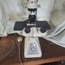 microscope Image 3