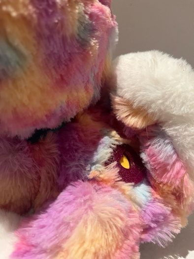 Hope the rainbow husky