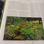 Essential plants for Every Garden Image 5