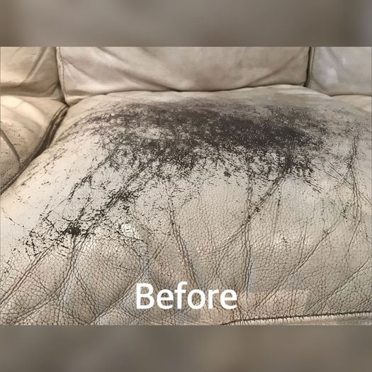 Furniture Leather Solutions
