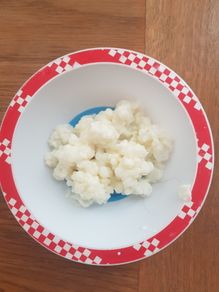 Milk kefir grains