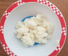Milk kefir grains