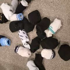 Bundle of Socks