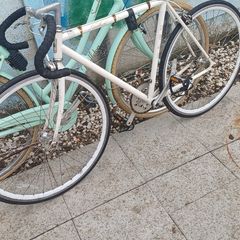 fuji