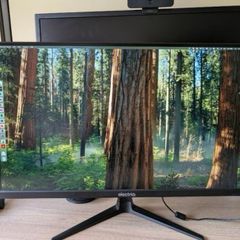 ElectriQ 27" QHD 1440p 95Hz.