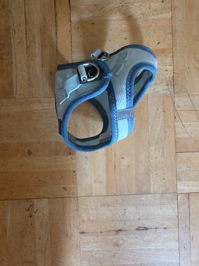 dog harness