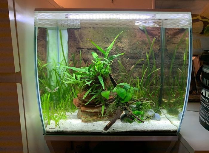 Fluval flex 57L with cabinet