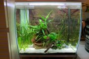 Fluval flex 57L with cabinet