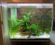 Fluval flex 57L with cabinet