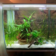 Fluval flex 57L with cabinet