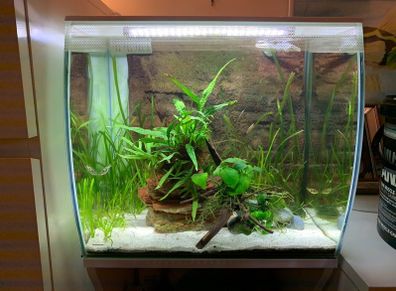 Fluval flex 57L with cabinet