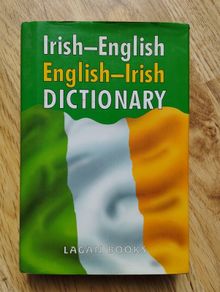 Irish - English English - Irish Dictionary by Lagan Books