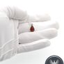 925 Sterling Silver & Natural Baltic Amber Minimalist Pendant Image 9