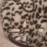 Cat Single Foot Slipper Image 3