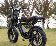 Electric bike