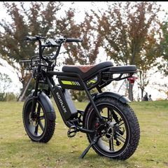 Electric bike