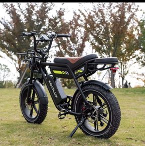 Electric bike