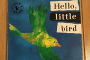 Hello little bird