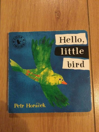 Hello little bird