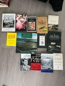 13 Irish books