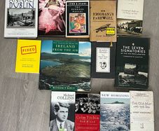 13 Irish books