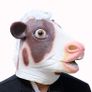 Rubber novelty Halloween cow mask. Image 2