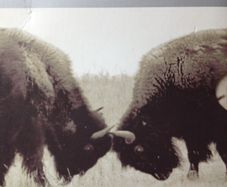 U2 [2002] The Best Of 1990-2000 (Digipak) [Music 1xDVD]