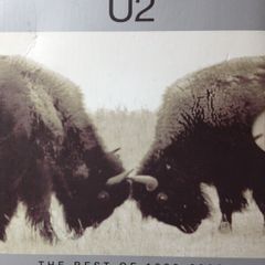 U2 [2002] The Best Of 1990-2000 (Digipak) [Music 1xDVD]