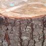 log stools x 5 Image 2