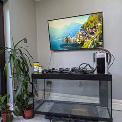 Juwel Rio 350 Aquarium