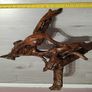 Bog oak Image 7