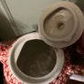 Tea Pot (Avoca) Image 4