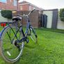 Adult Bike Image 3