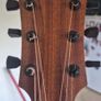 LAG Tramontane Acoustic Guitar Image 3