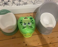 Potty & My Carry Potty