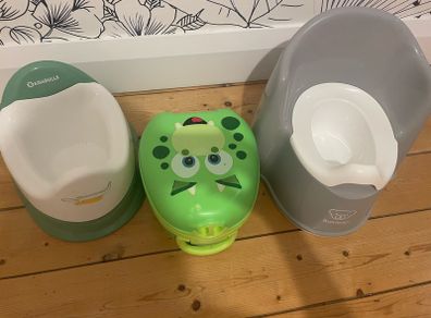 Potty & My Carry Potty