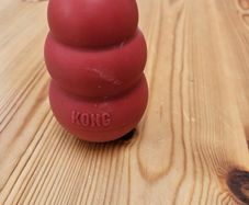 kong dog toy