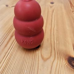 kong dog toy