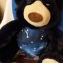 Night time Buddies (257) Image 4