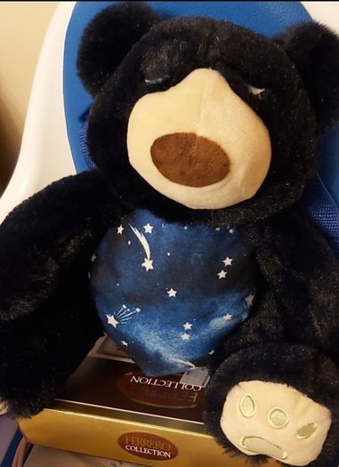 Night time Buddies (257)