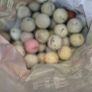 Golf Clubs/Bag/Trolley Image 3