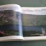The gardens of Ireland Image 2