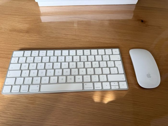 Apple Magic Keyboard & Mouse