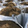 Sand Image 7