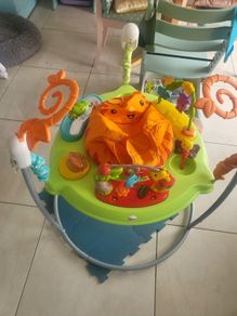 Free Jumperoo - Fisher Price Rainforest