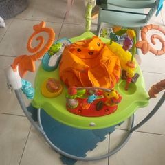 Free Jumperoo - Fisher Price Rainforest