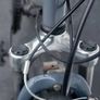 Muddyfox Unisex Bike Used In Working Order Image 3